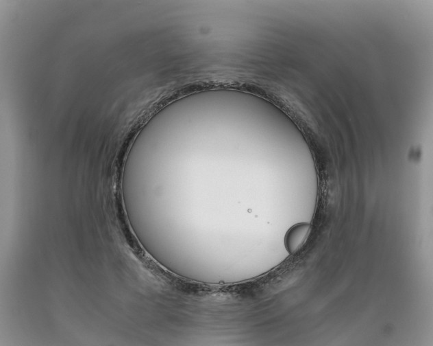 X0000089730593200706210918