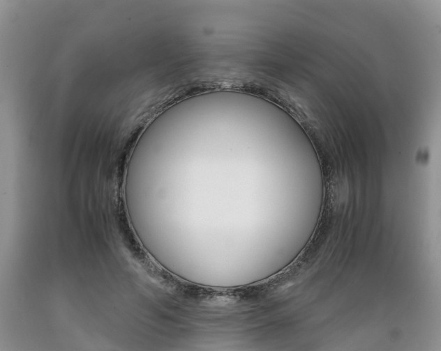 X0000089730594200706210918