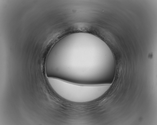 X0000089730595200706210918