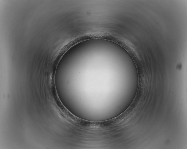 X0000089730596200706210918