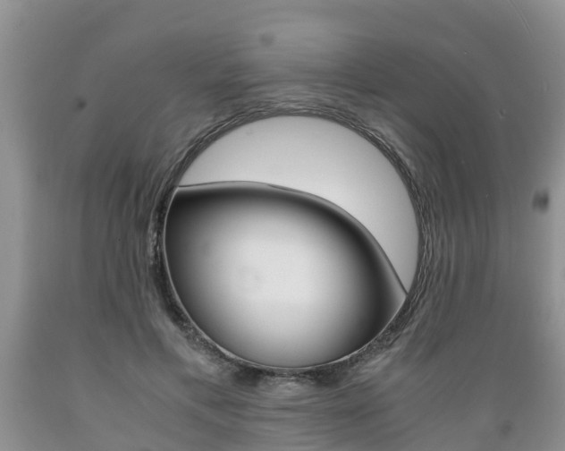 X0000089730597200706210918