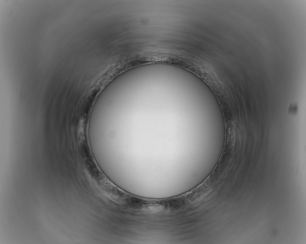 X0000089730598200706210918
