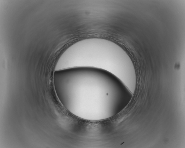 X0000089730599200706210918