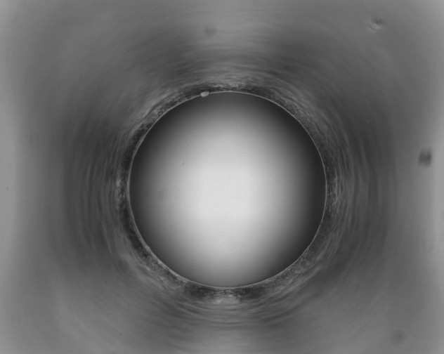X0000089730600200706210918