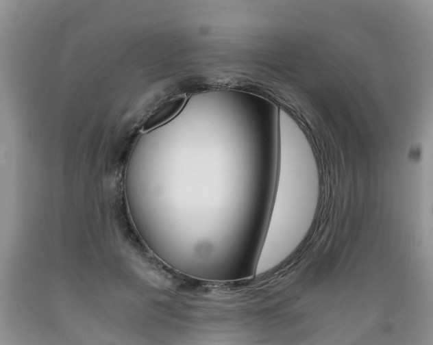 X0000089730601200706210918