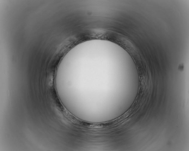 X0000089730602200706210918