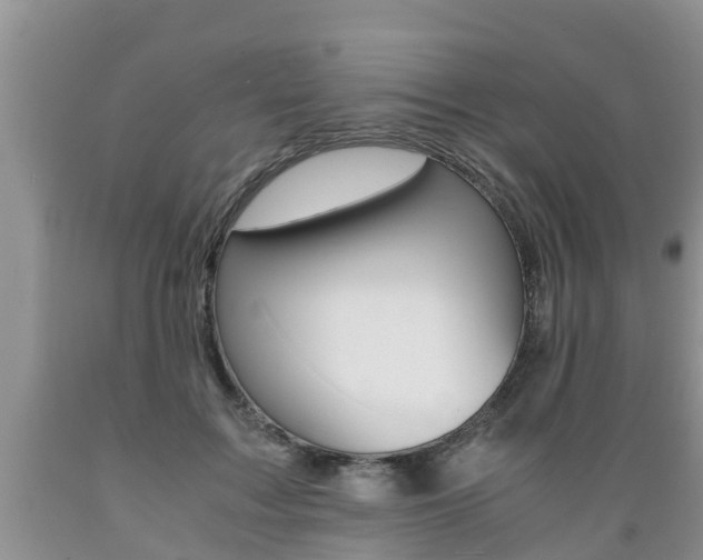 X0000089730603200706210918