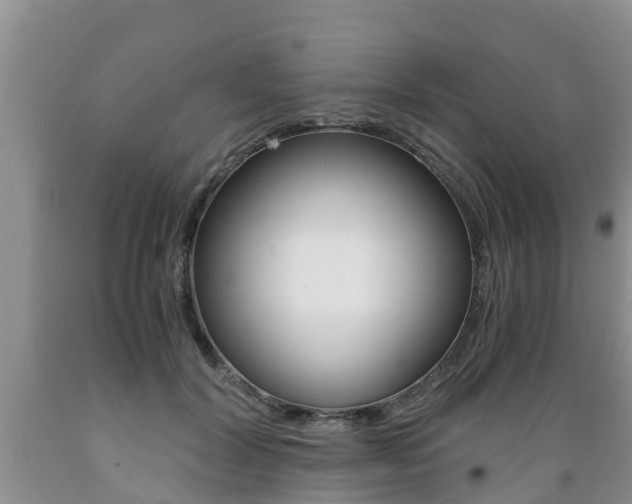 X0000089730604200706210918