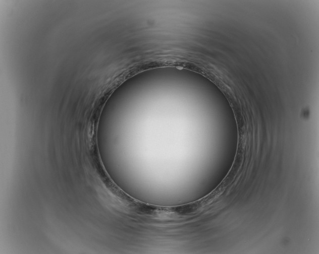 X0000089730605200706210918