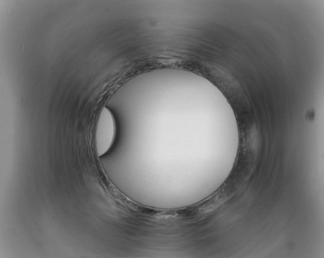 X0000089730606200706210918