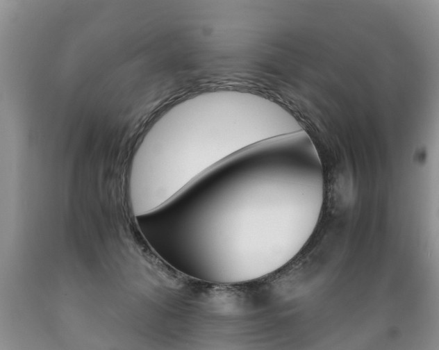 X0000089730608200706210918