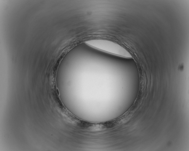 X0000089730609200706210918