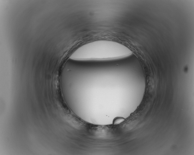 X0000089730612200706210918