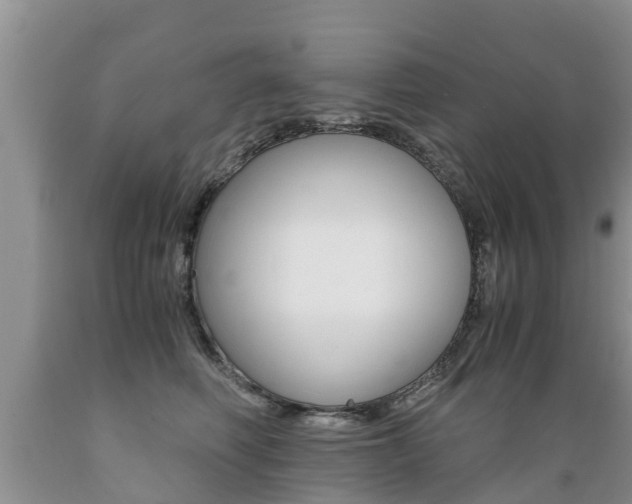 X0000089730614200706210918