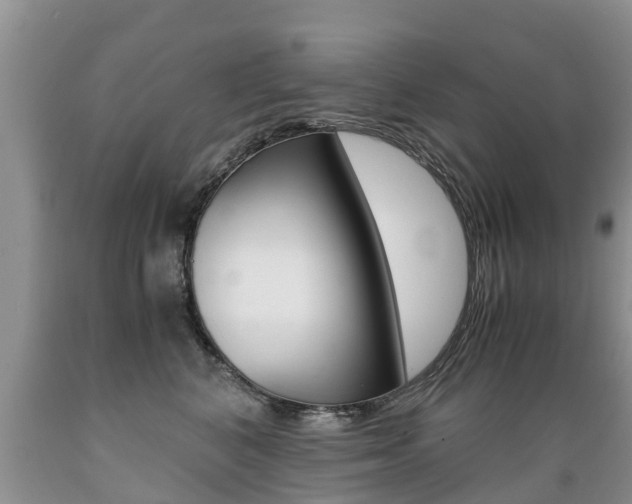 X0000089730616200706210918