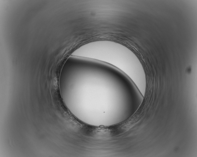 X0000089730617200706210918