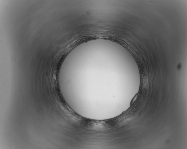 X0000089730618200706210918