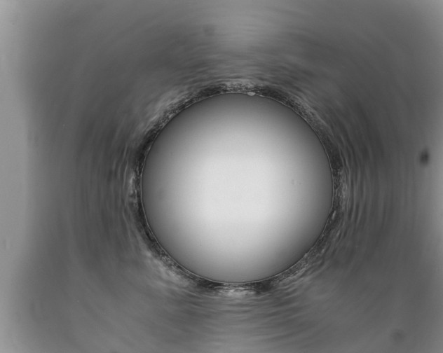 X0000089730619200706210918