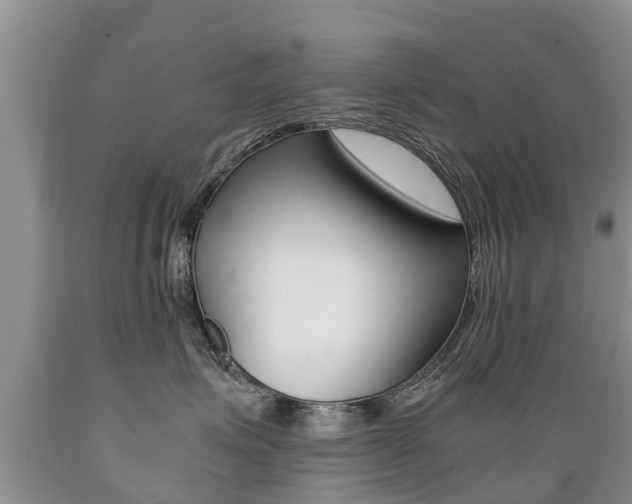 X0000089730623200706210918