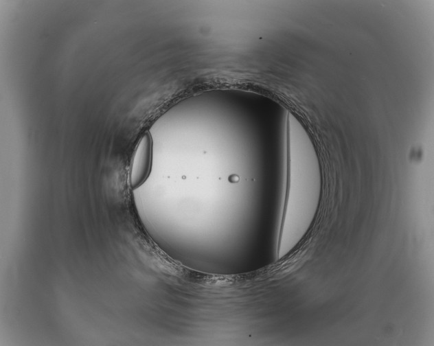X0000089730624200706210917