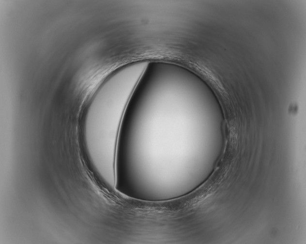 X0000089730626200706210917