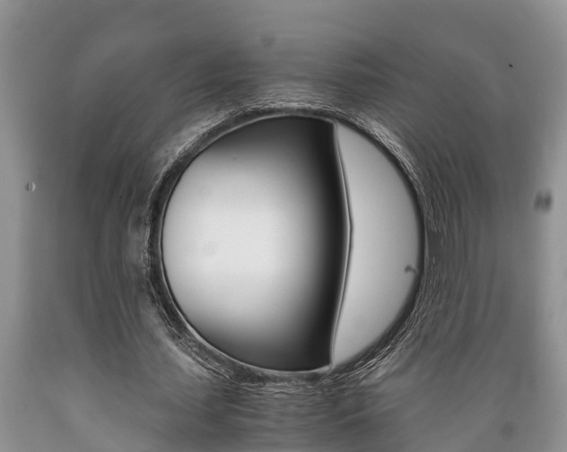 X0000089730627200706210917