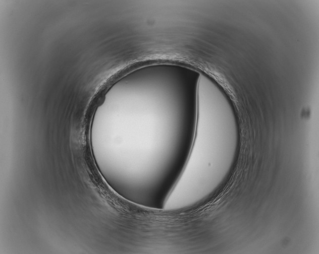 X0000089730628200706210917
