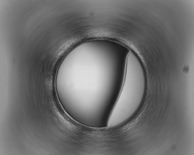 X0000089730629200706210917