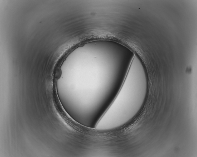 X0000089730630200706210917