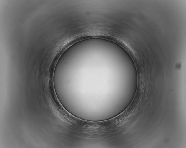 X0000089730631200706210917
