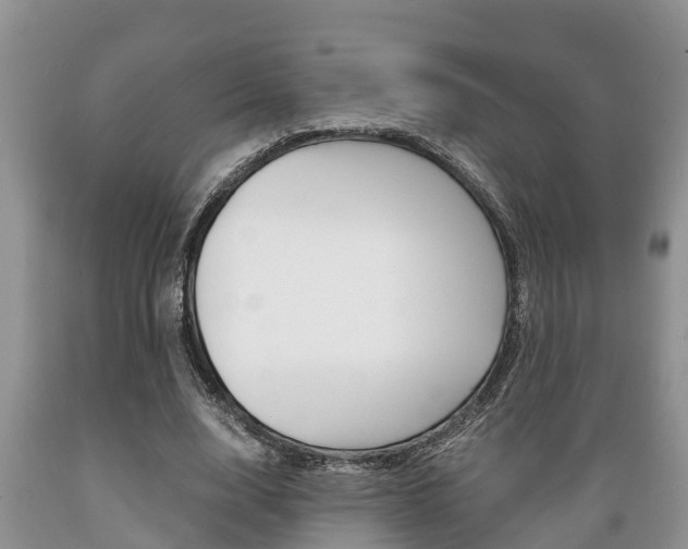 X0000089730632200706210917