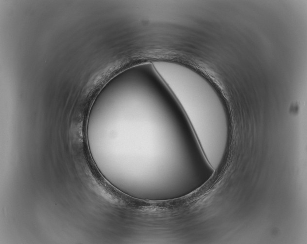 X0000089730633200706210917