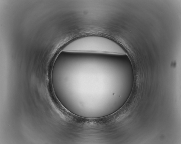 X0000089730634200706210917
