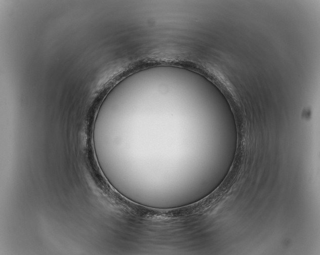X0000089730635200706210917