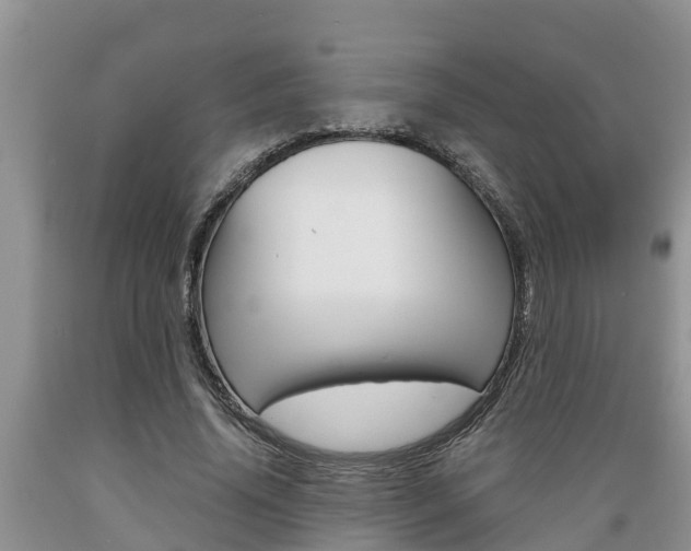X0000089730636200706210917