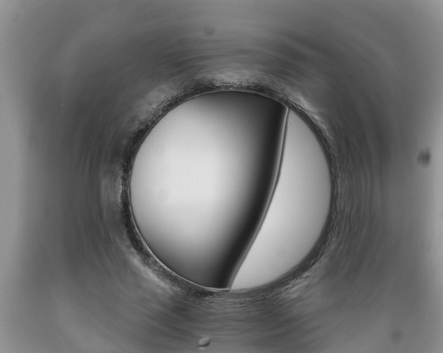 X0000089730637200706210917