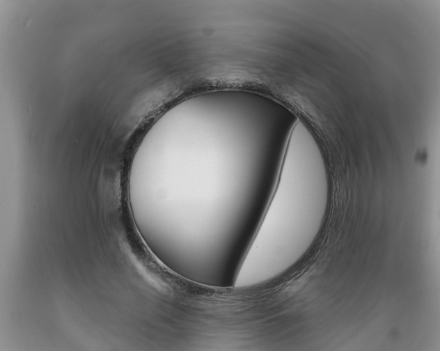 X0000089730638200706210917