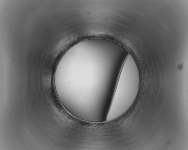 X0000089730640200706210917