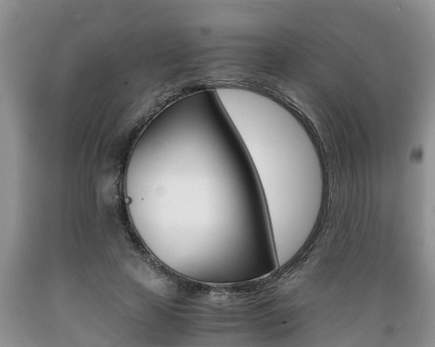 X0000089730641200706210917