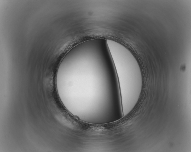 X0000089730642200706210917