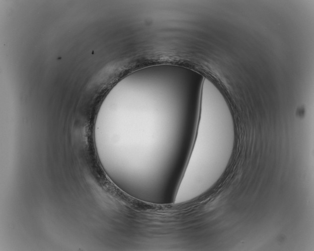 X0000089730643200706210917