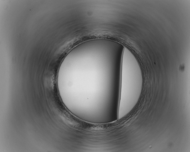 X0000089730644200706210917