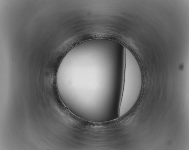 X0000089730645200706210917