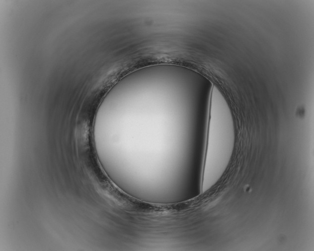 X0000089730646200706210917
