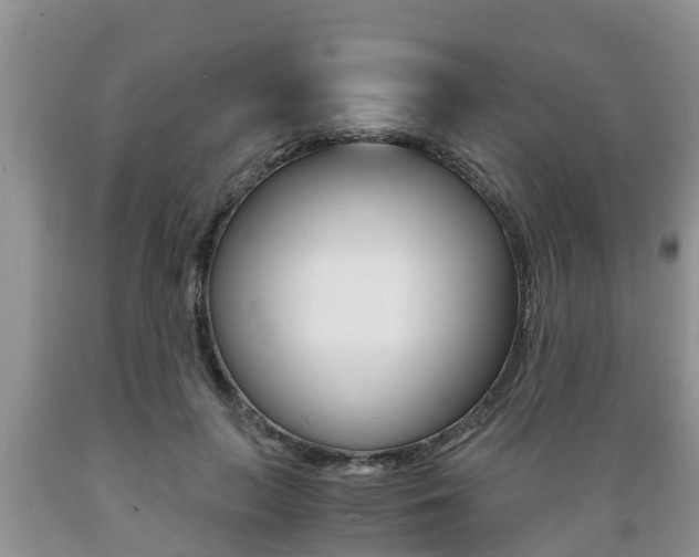 X0000089730647200706210917