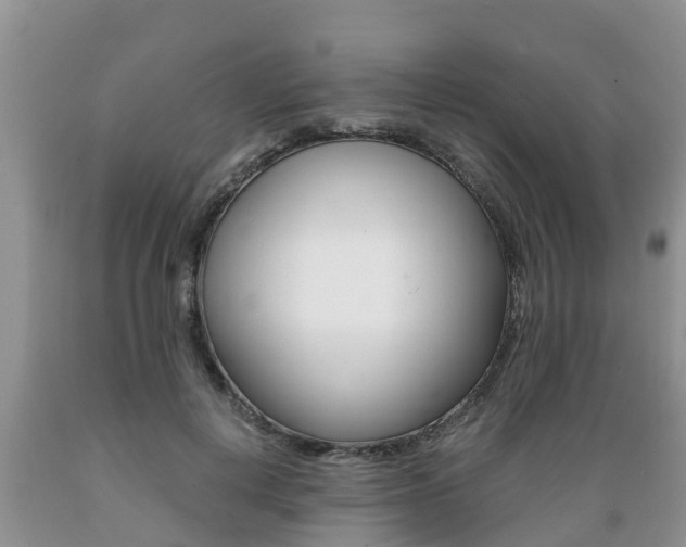 X0000089730648200706210917