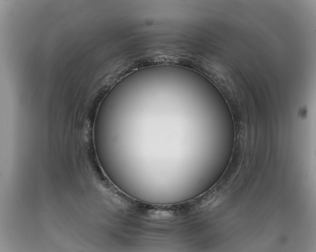 X0000089730649200706210917