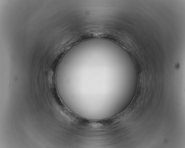 X0000089730650200706210917