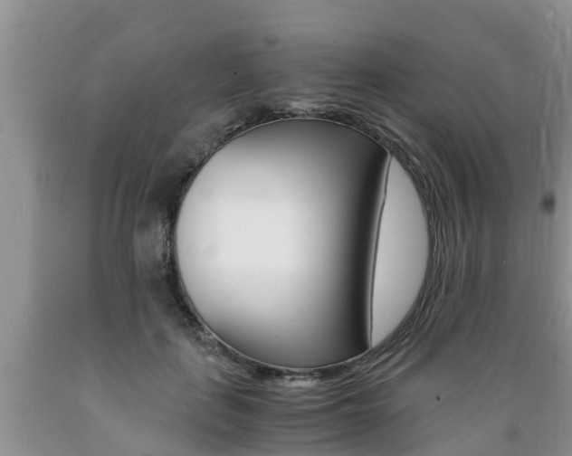 X0000089730651200706210917