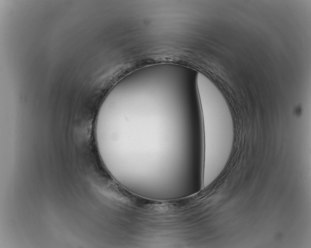 X0000089730652200706210917